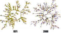 Netzwerk von 1000 zufällig ausgewählten Teilnehmern der Studie: In den 1970er Jahren sind überall noch viele Raucher (gelbe Punkte) zu finden. 30 Jahre danach hat ihre Zahl abgenommen und sie wurden vermehrt an den Rand der sozialen Gruppen gedrängt.