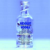 Eine Absolut Vodka Flasche, Import aus Schweden