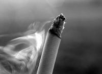 90 Prozent der rauchenden Weltbevölkerung bevorzugt den Zigarettenkonsum gegenüber anderen Tabakprodukten